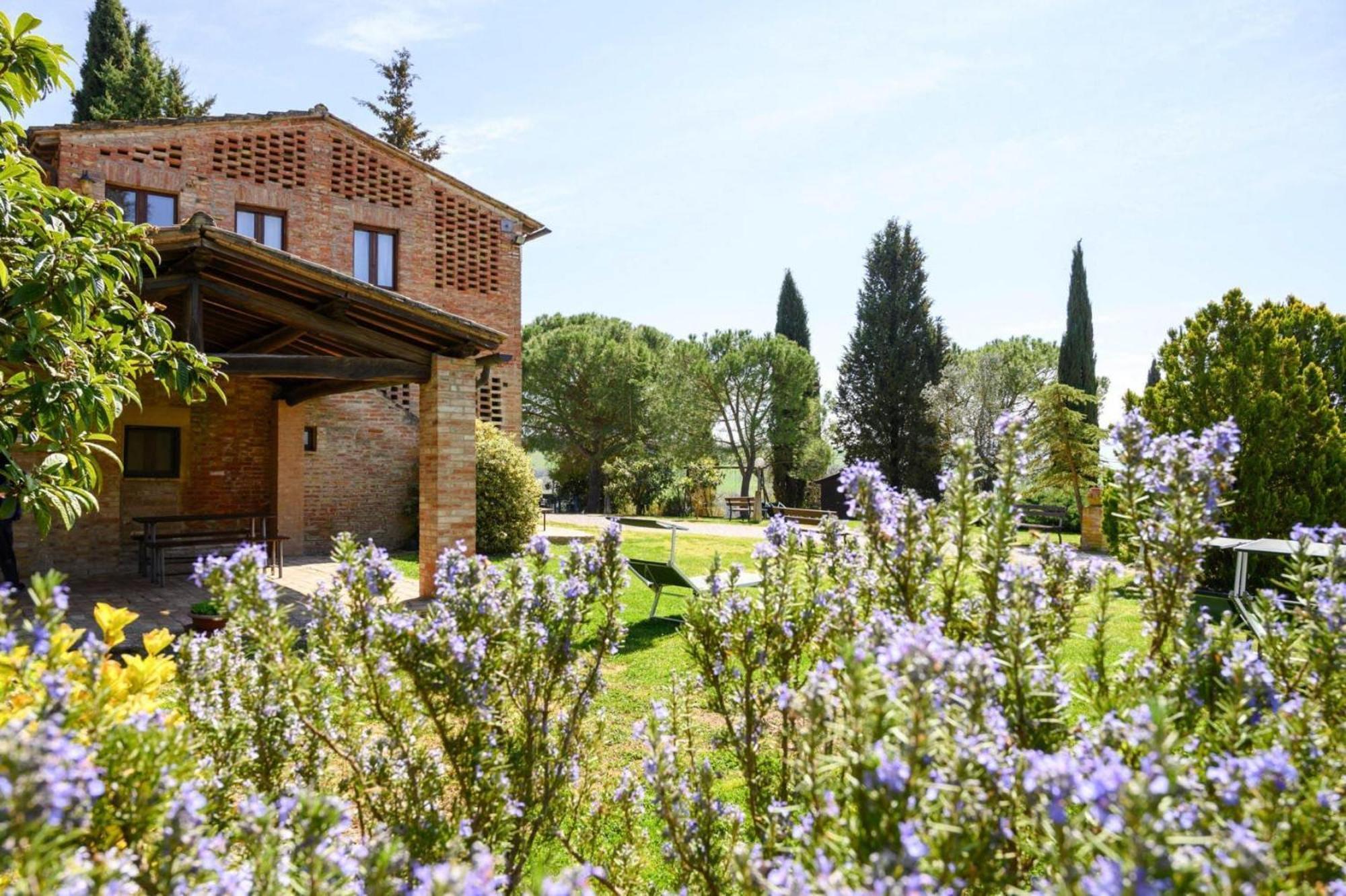 Fattoria Bio Pieve A Salti Montalcino Apartment Bagian luar foto